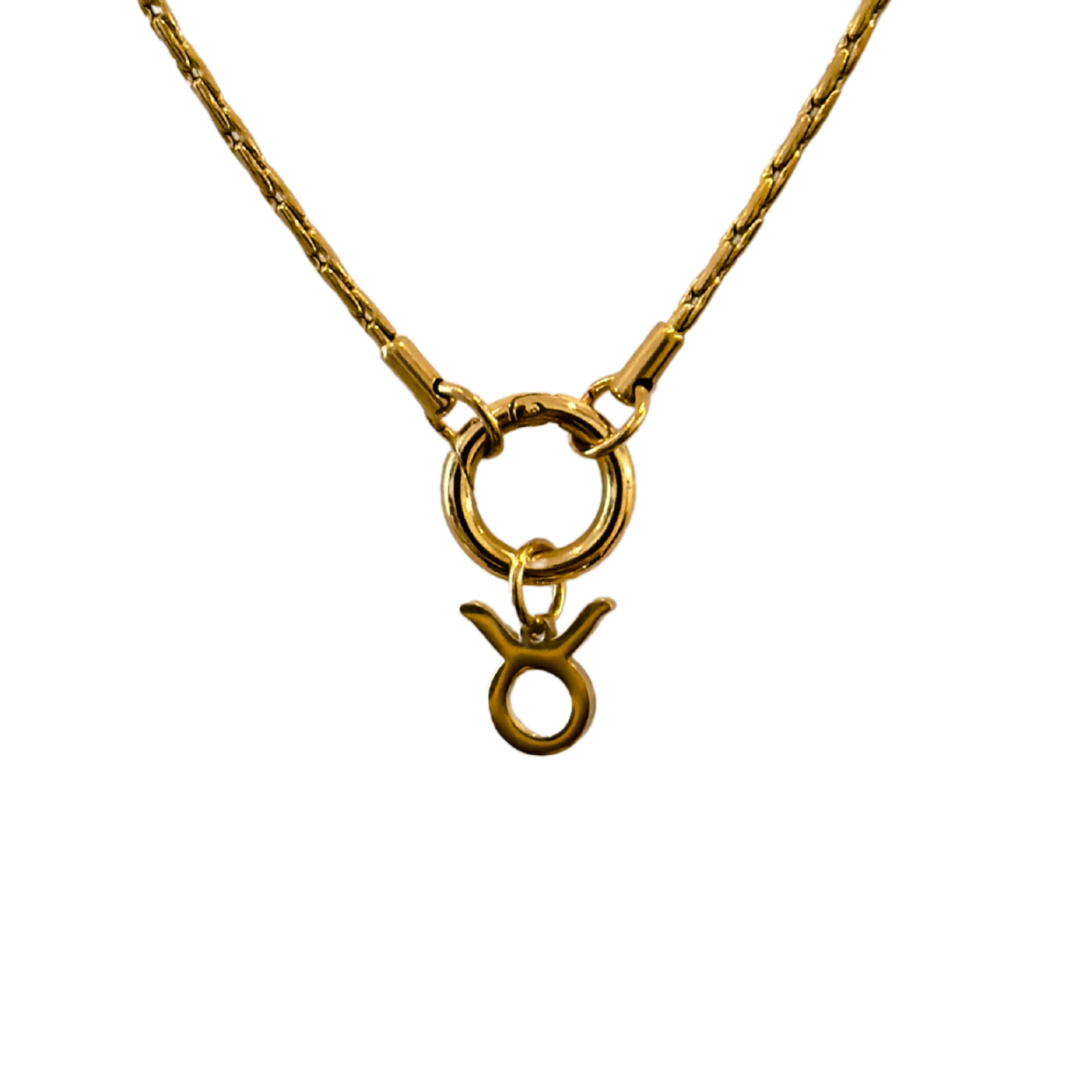 Zodiac Charm
