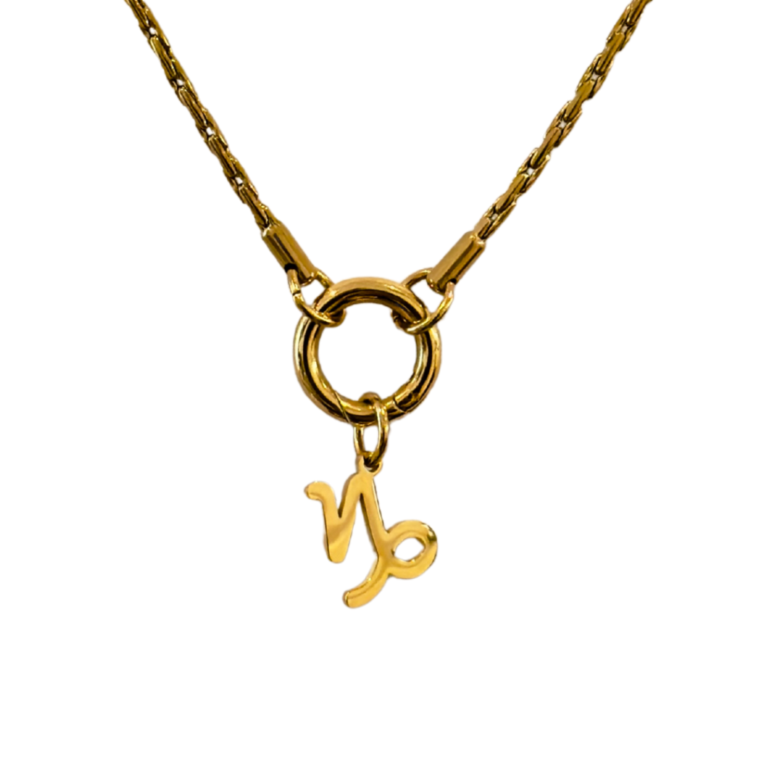 Zodiac Charm