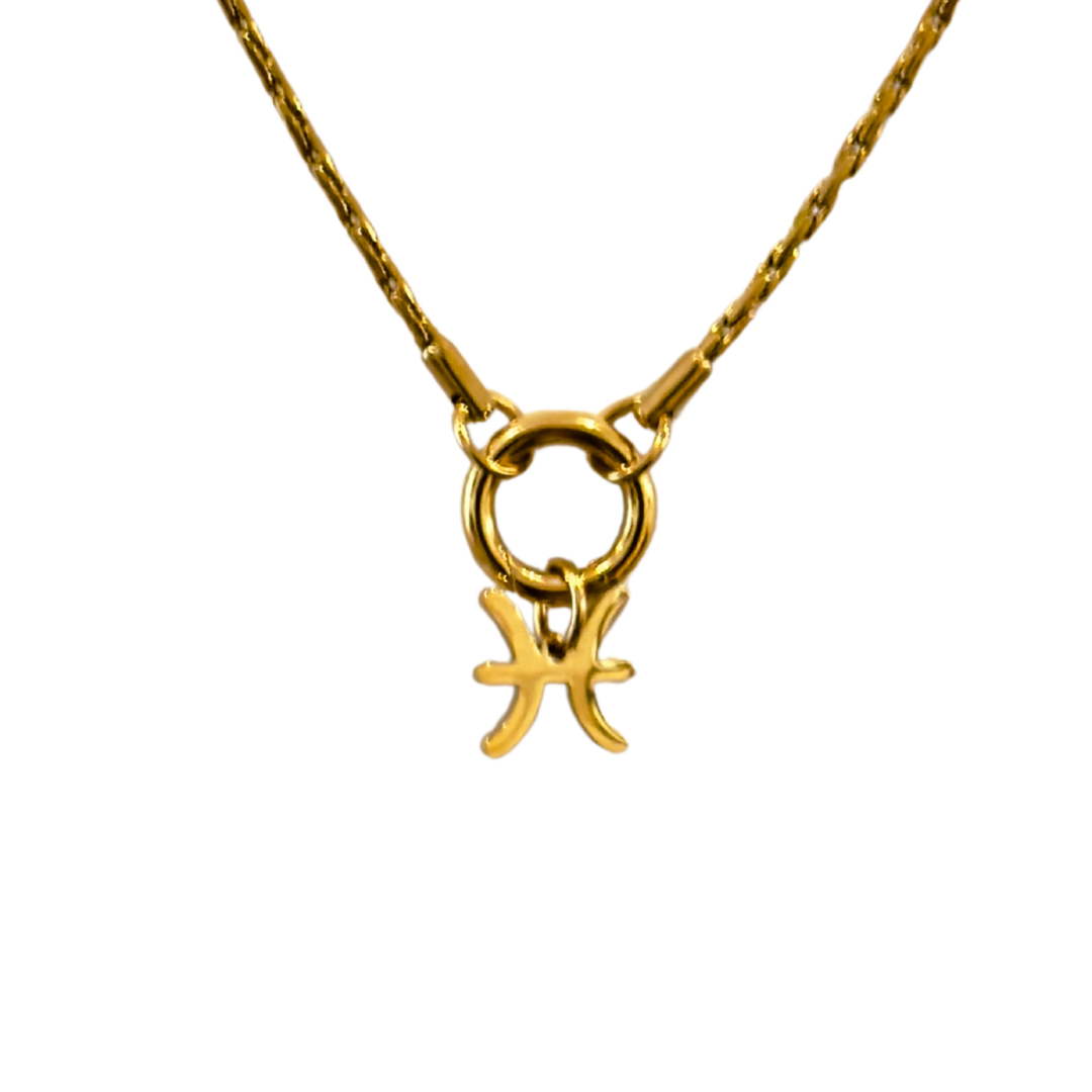 Zodiac Charm